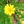 Ւ